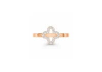 Inel P2495-101 2