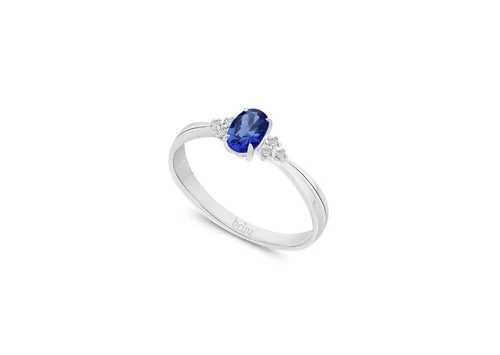 Inel Di B0826-100WS