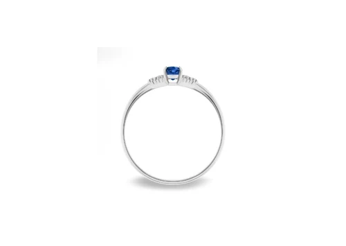 Inel Di B0826-100WS
