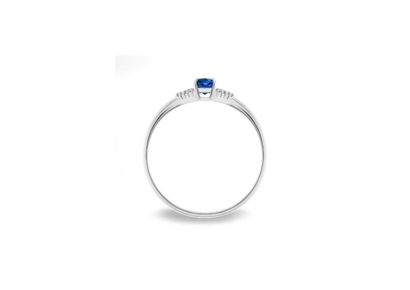 Inel Di B0826-100WS 2