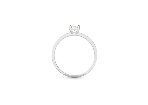 Inel Di B1058-100W
