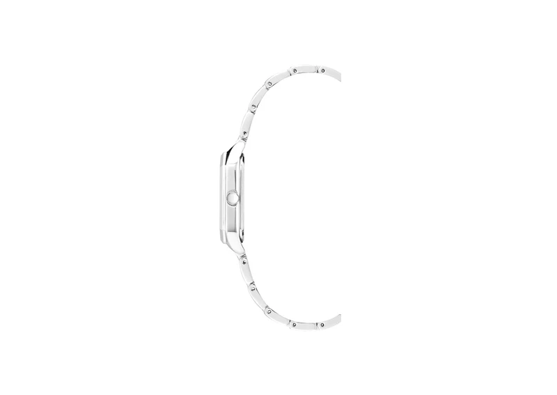 ANNE KLEIN METALS 2