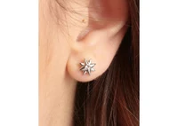 Серьги BHKE045 3