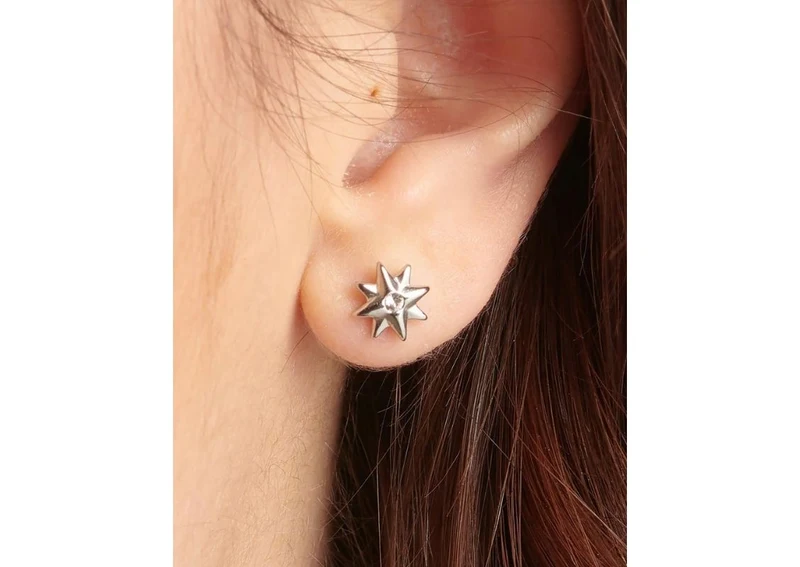 Серьги BHKE045 3