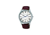 Ceasuri Seiko SGEG97P1