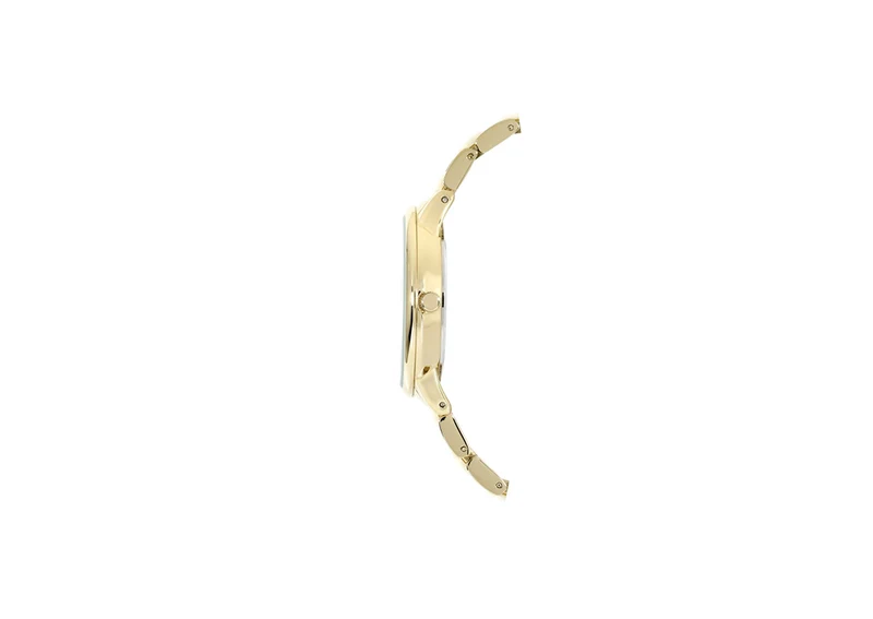 Ceasuri Anne Klein AK/1412IVGB 2
