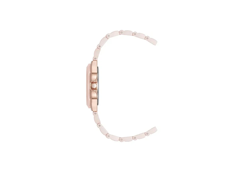 Ceasuri ANNE KLEIN AK/5112RGBH 2
