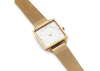 AMALYS IVY AMW-015 2
