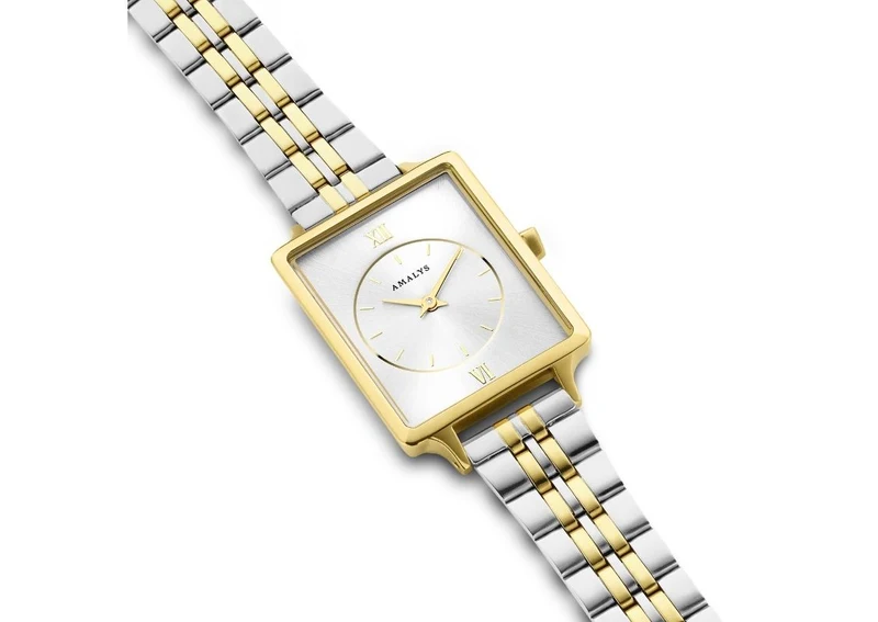 AMALYS PENNY AMW-120 2