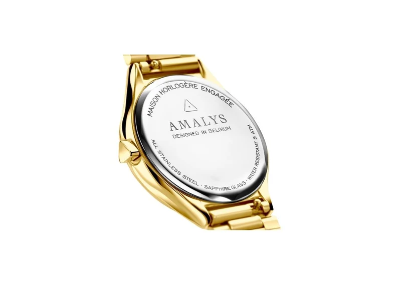 AMALYS ISIS AMW-160 2