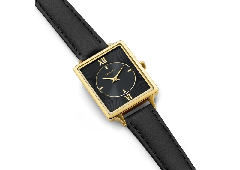AMALYS PAOLA  AMW-133 2