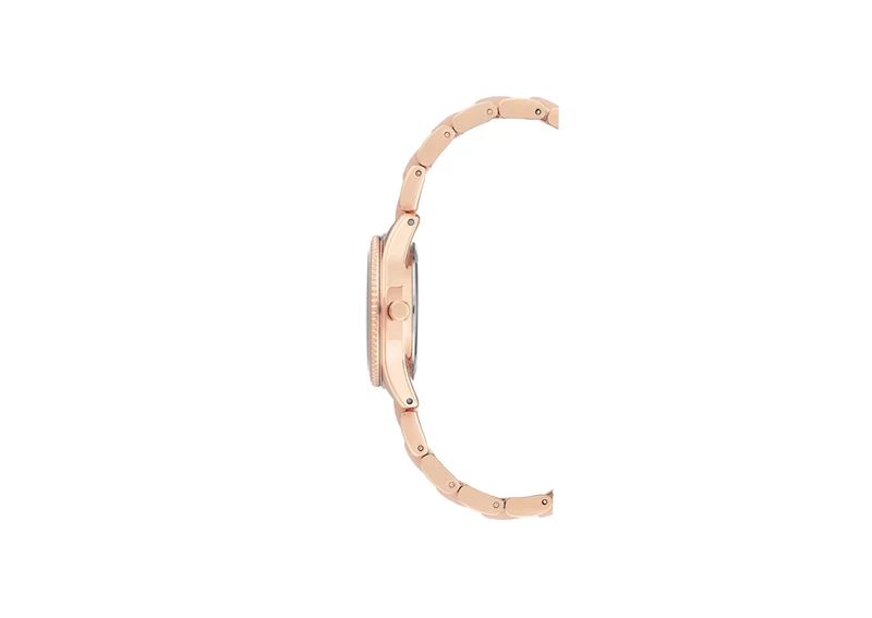 Ceasuri ANNE KLEIN AK/3212LPRG 3