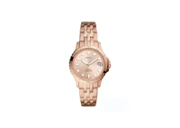 FOSSIL  ES4748