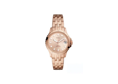 FOSSIL  ES4748